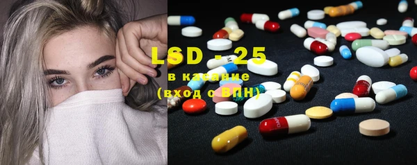 PSILOCYBIN Переславль-Залесский