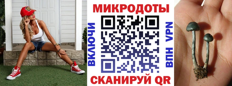 нарко площадка официальный сайт  купить закладку  Уссурийск  Галлюциногенные грибы Magic Shrooms 